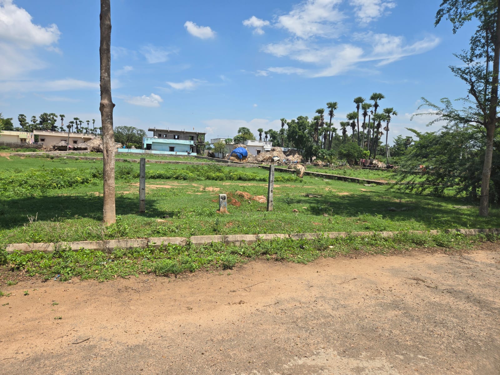 500 sq yd open plot near Tagarapuvalasa, Vizianagaram