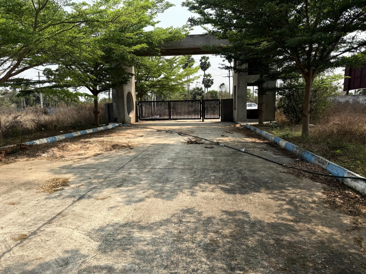 Avenue plantation along the layout roads